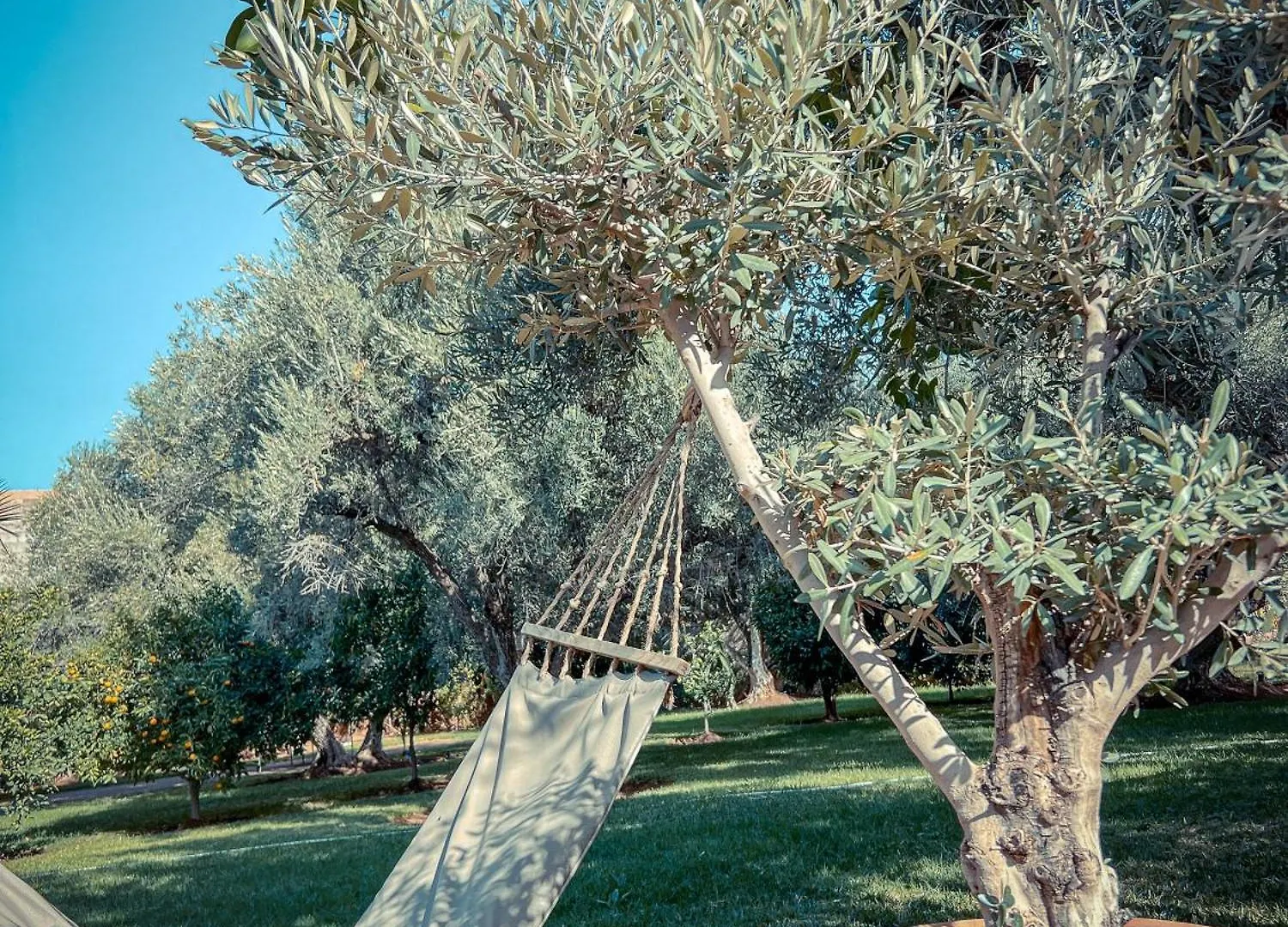 Pensjonat Villa Paschmina Marrakesz