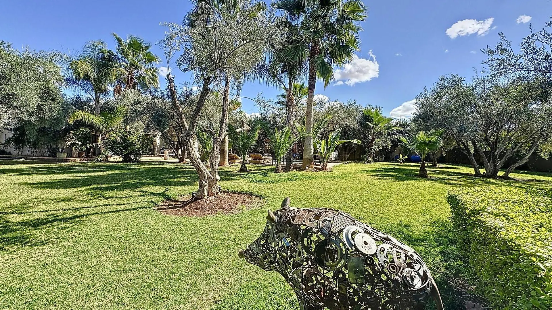 Pensjonat Villa Paschmina Marrakesz